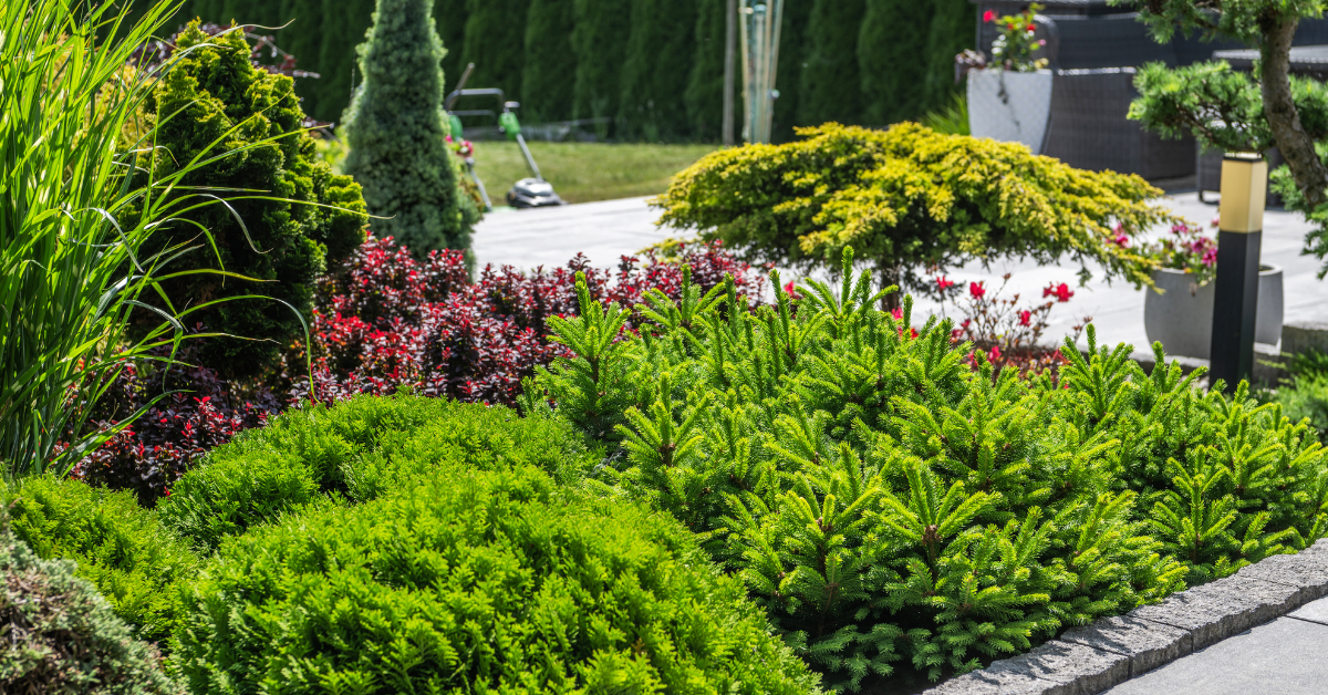 How New Greenville Homeowners Can Boost Curb Appeal